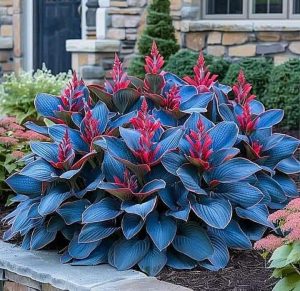 Хоста Грин Фог купить по цене от 669р. в интернет-магазине «Посадика» с доставкой почтой в в Дербенте и по всей России – [изображение №1].